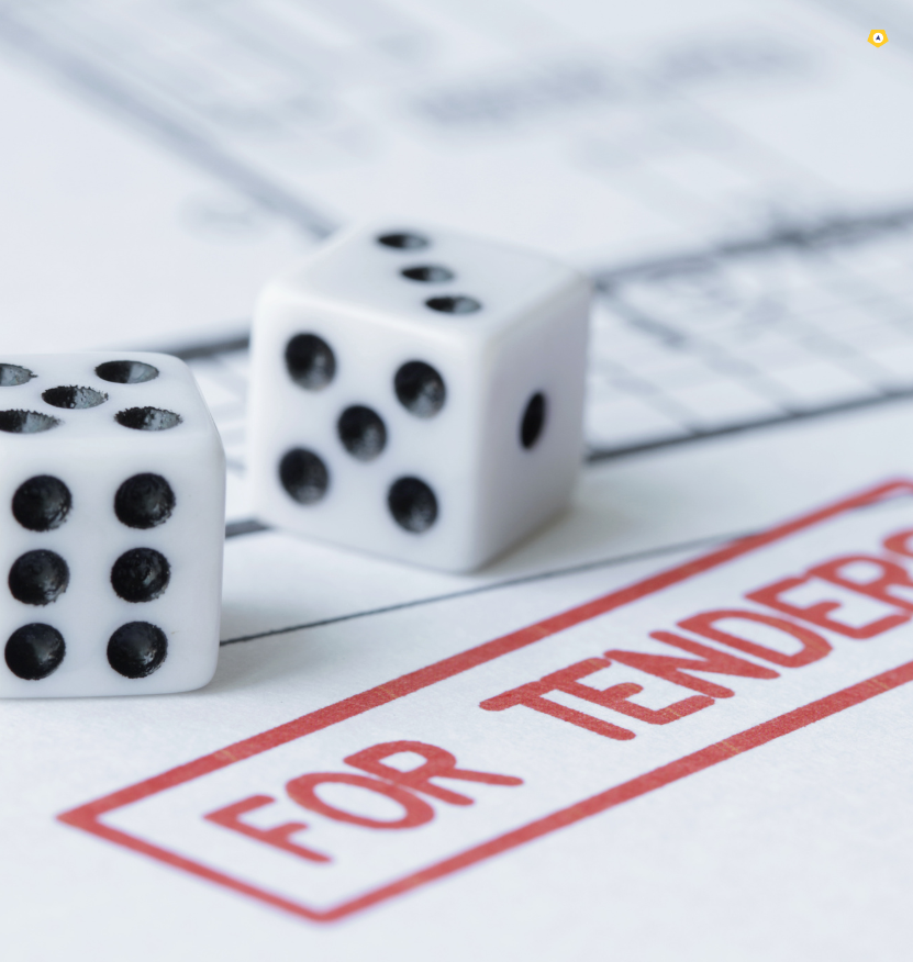 Scope of Work Tender Scope of Work Tender